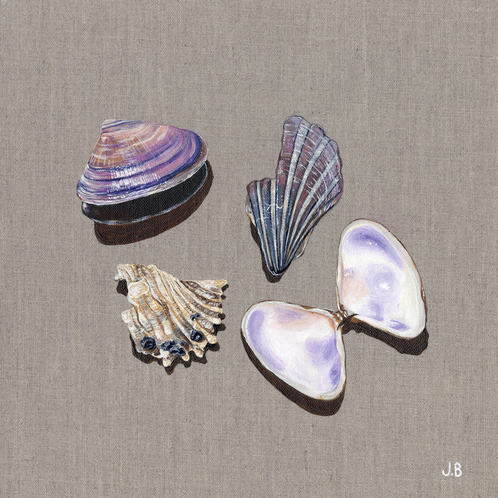 Shell Collector Fine Art Print