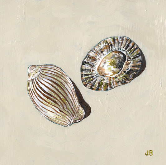 Tidepool Secrets Fine Art Print