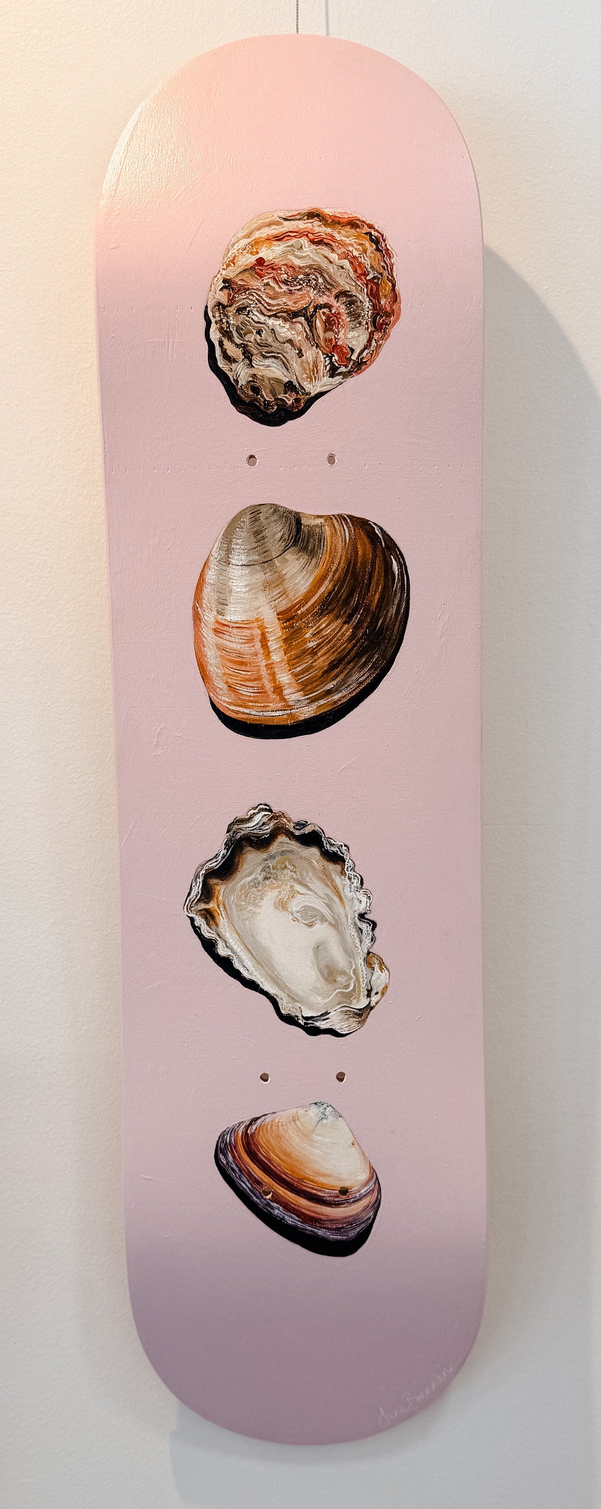 Creative Dap Shell Shell Collector Skatedeck – Jane Brennan Creative
