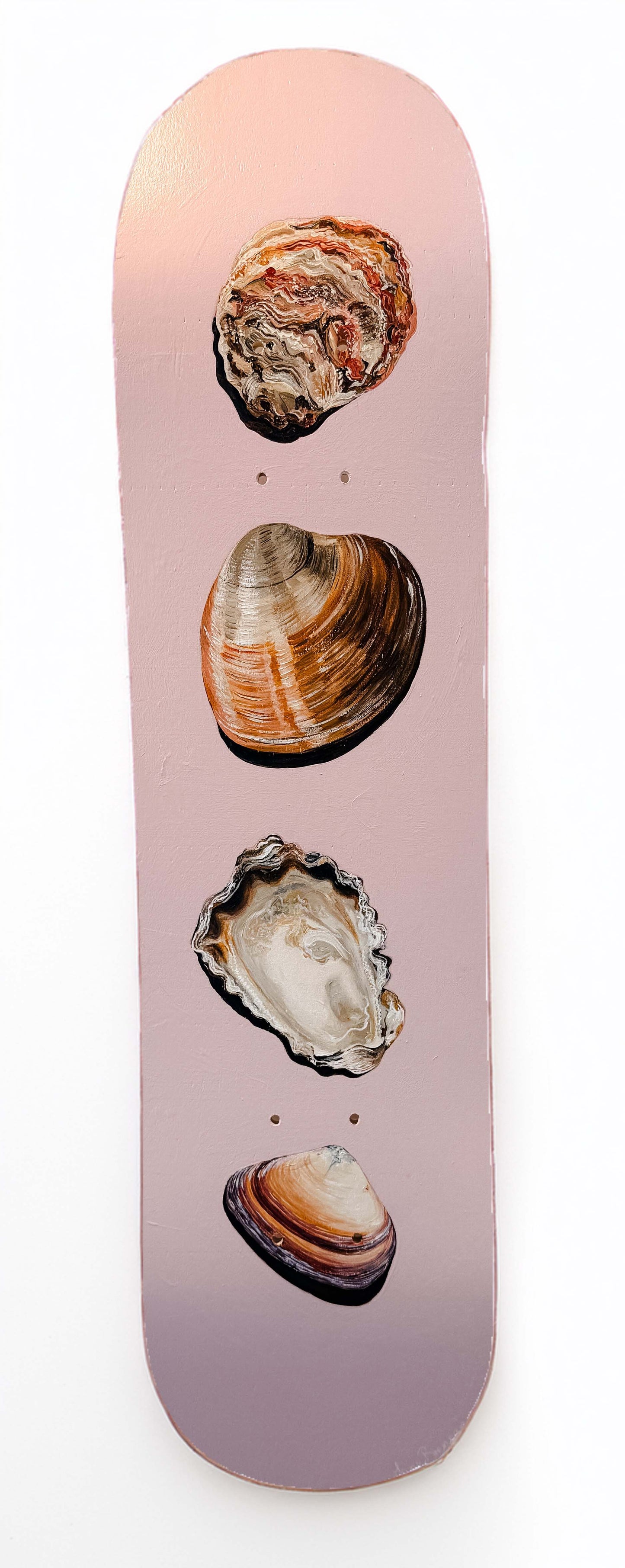 Shell Collector Skatedeck