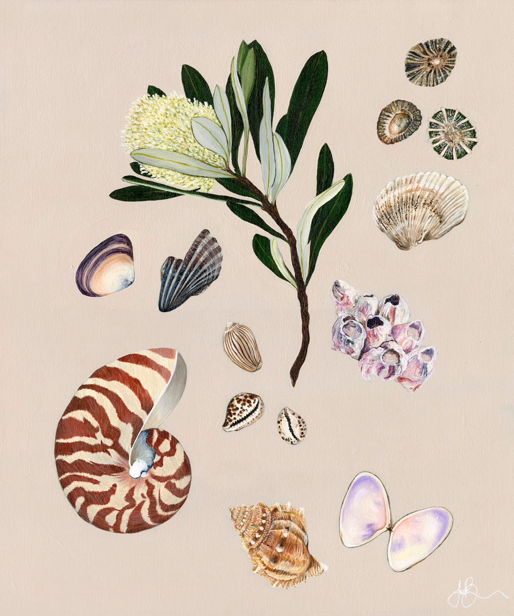 Wander & Collect Fine Art Print